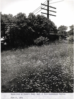 Photo only available in the library